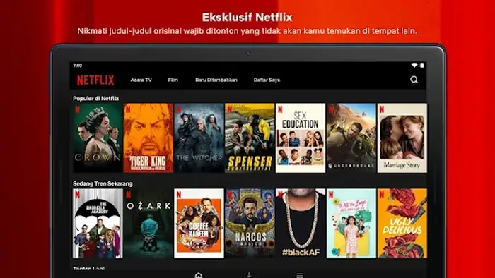 Cara Mengubah Lokasi Netflix